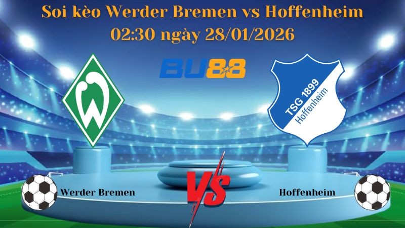 BU88 Nhận định bóng đá Werder Bremen vs Hoffenheim 02:30 ngày 28/01/2026 - Bundesliga