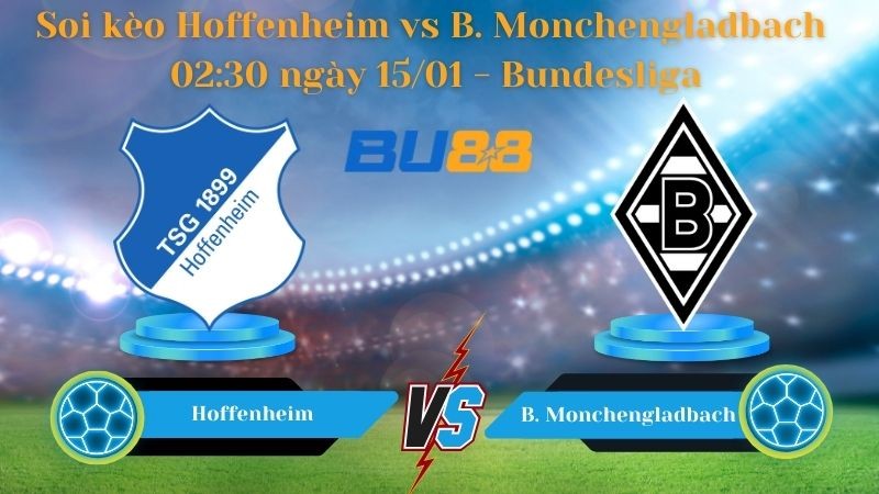 BU88 Nhận định bóng đá Hoffenheim vs Borussia Monchengladbach 02:30 ngày 15/01 - Bundesliga