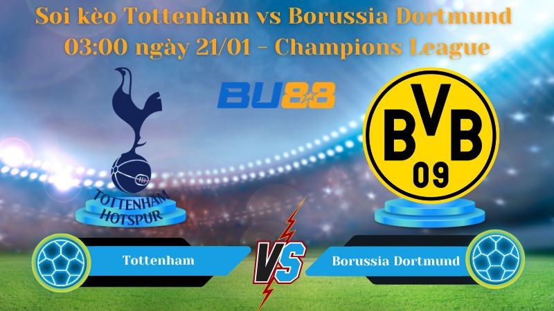 BU88 Nhận định bóng đá Tottenham vs Borussia Dortmund 03:00 ngày 21/01 - Champions League