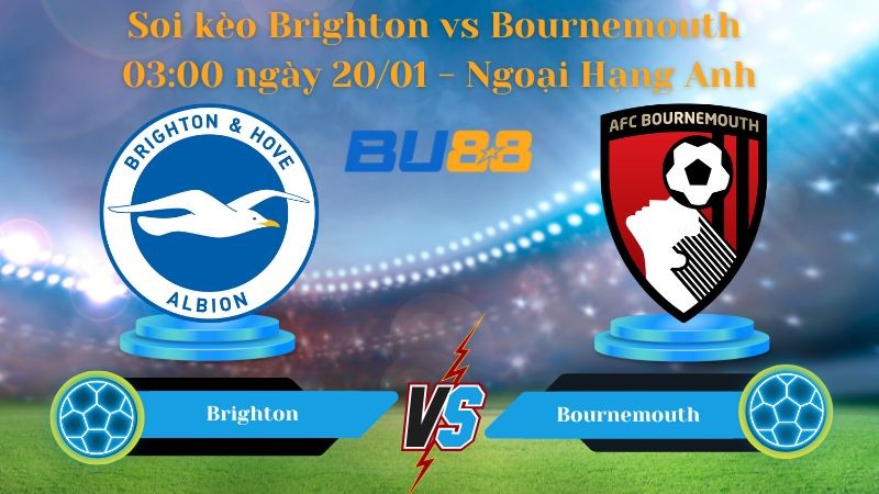 BU88 Nhận định bóng đá Brighton vs Bournemouth 03:00 ngày 20/01 - Ngoại Hạng Anh