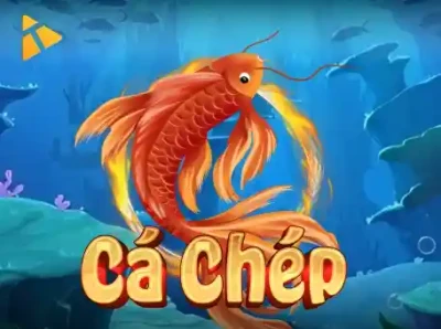 BU88 Cá Chép Hóa Rồng