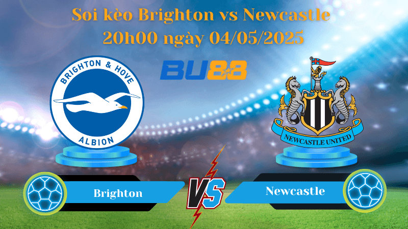 BU88 Nhận định soi kèo Brighton vs Newcastle 20h00 ngày 04/05/2025 - Ngoại hạng Anh